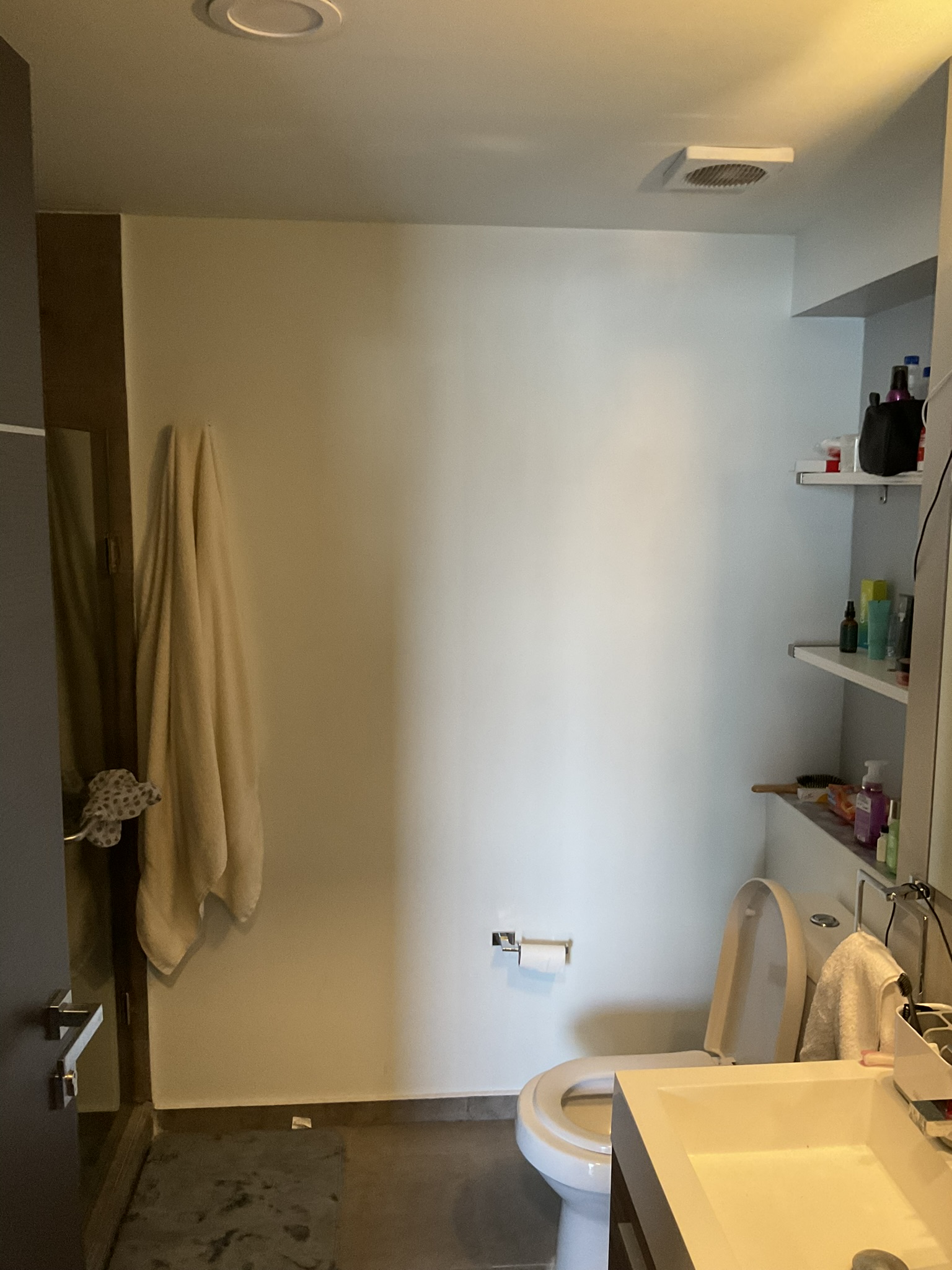 Before image